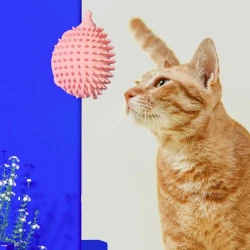 Cat Corner Wall Scratcher – Self-Grooming Pet Supplies