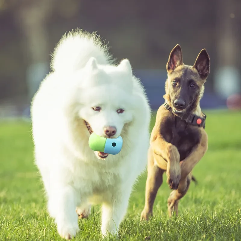 2-in-1 Rolling Treat Ball for Dogs