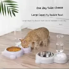 No-Spill Stainless Steel Pet Water Dispenser & Double Bowl